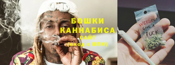 спайс Гусь-Хрустальный