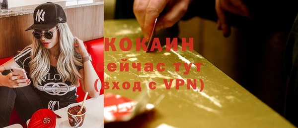 a pvp Гусев