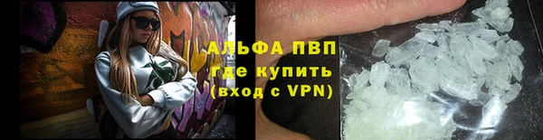 гашик Горно-Алтайск