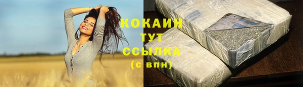 тгк Горняк