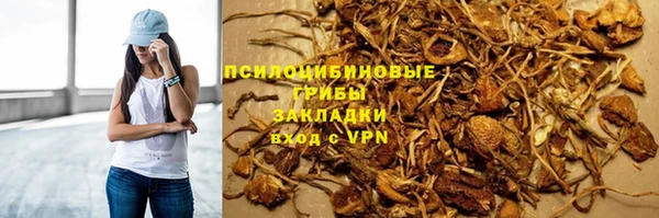 гашик Горно-Алтайск