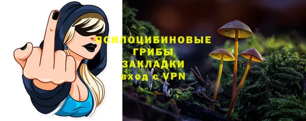 тгк Горняк