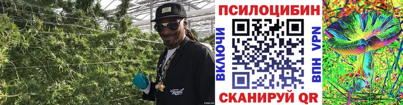 Псилоцибиновые грибы GOLDEN TEACHER  закладка  Ялта 